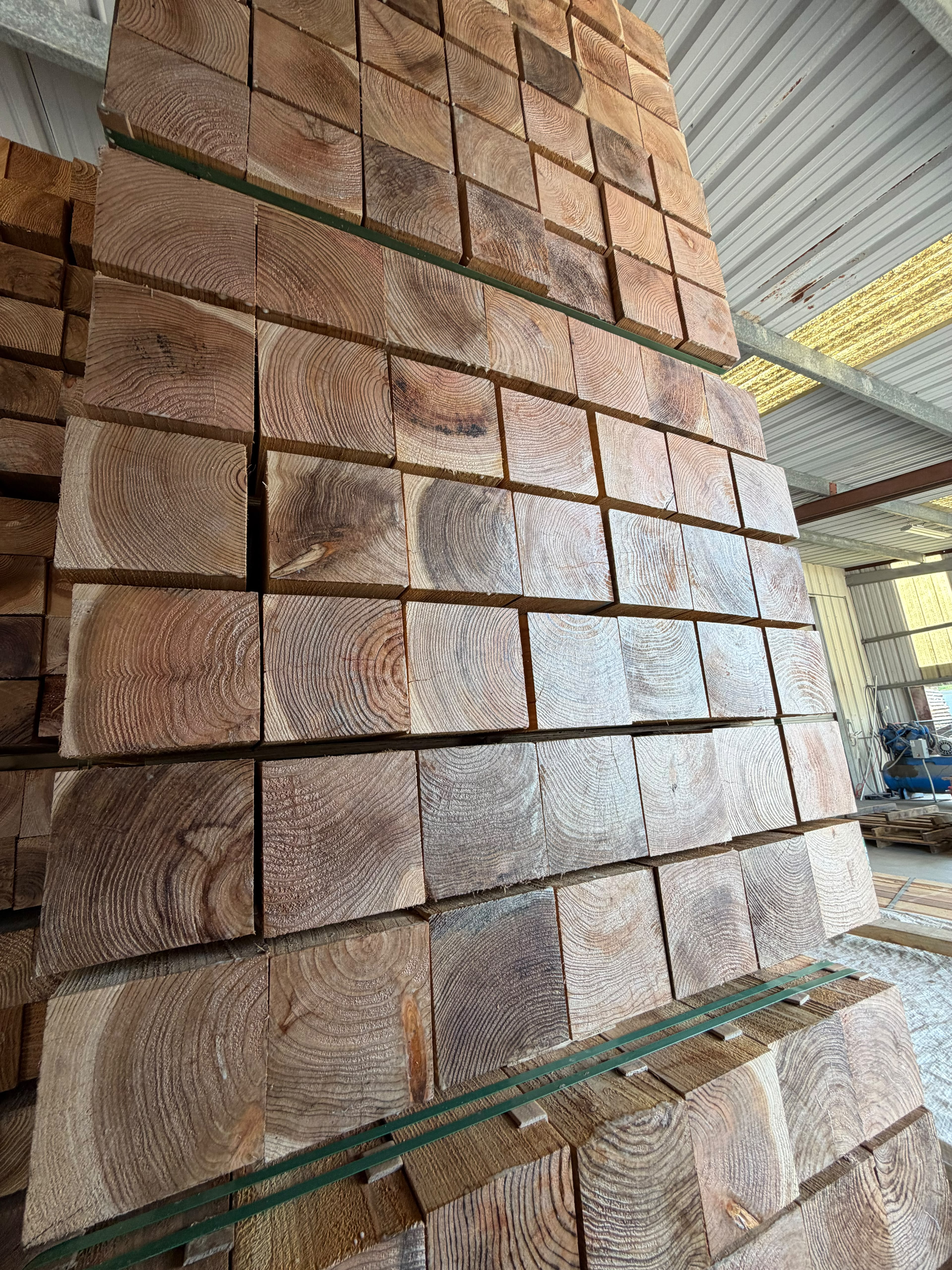 Cedar fence posts end-grain close-up showing quality
